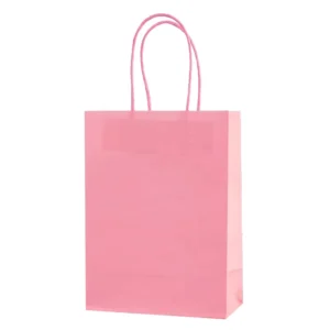 Multicolor Square Kraft Paper Takeaway and Gift Bags with Carry Handles