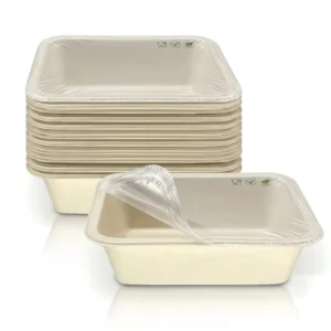 Natural Biodegradable Disposable Bagasse Fiber Fast Food Tray with CPET Liner