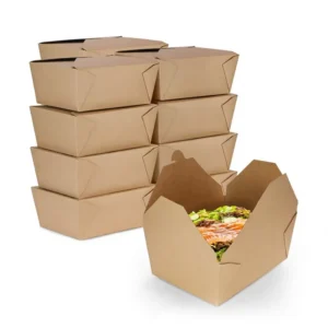 Noodle Sushi Kraft Food Boxes Salad Fried Chicken Takeout Box Biodegradable Disposable Custom Paper Lunch Box