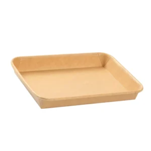 OEM Custom Extrusion-Coated Disposable Biodegradable Lunch Box with Lid