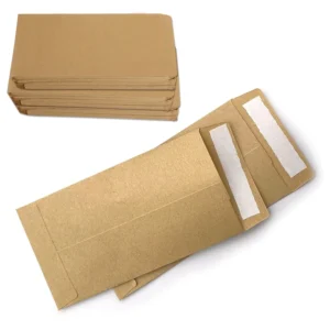 OEM Eco Friendly Custom Logo Brown Kraft Paper Packaging Envelope for Coins, Herbs, and Seeds