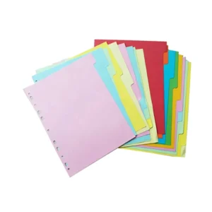 OEM/ODM Multi Colorful A4 Size Index Divider Paper Index Divider