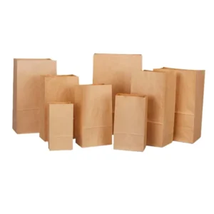 Oil Proof Brown Paper Takeaway Bag for Food, Vegetables, and Bread