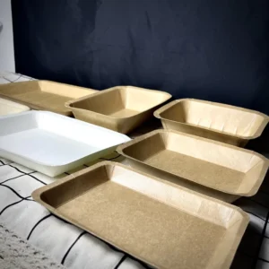 PE-Coated Kraft Paper Food Tray for Food Packaging, Custom Size and Logo Printing