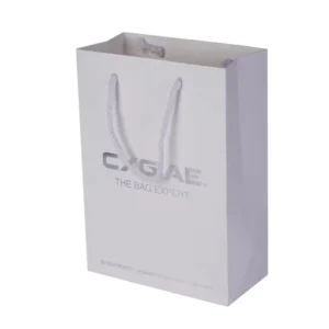 Paper Bag Thicken Kraft Paper Handbag Catering Takeaway Packing Bag Kraft Paper Shopping Bag for Bakery