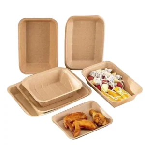 Paper Food Tray for Packaged Fruit and Vegetables