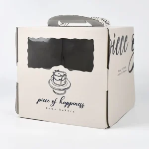 Paper Food and Cake Box for Birthday