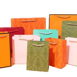 Paper Gift Shopping Bag with Logo for Birthdays