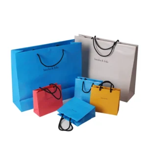 Paper Material Shopping Paper Bag with Low Price Shopping Bag Recycled