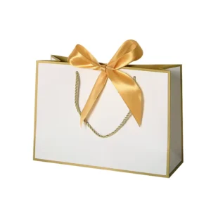 Paper Shopping Bags with Ribbon Handles
