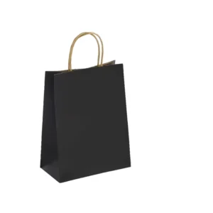 Plain Blank Kraft Paper Shopping Bag Custom Printed Logo Twisted Handle Reusable Paper Tote for Supermarket Retail Promotion