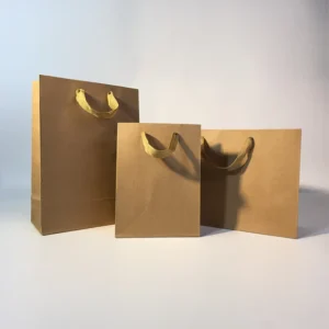 Plain Brown Kraft Paper Gift Bags for Shopping and Packaging