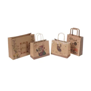 Portable Gift Kraft Paper Retail Bags, Small