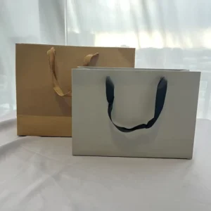 Premium Custom Shopping Paper Bag 250g Super Durable Shopping Paper Custom Size Multiple Color Options