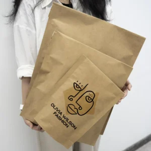 Printed Biodegradable Kraft Paper Clothing Mailer Bag Cardboard Envelope