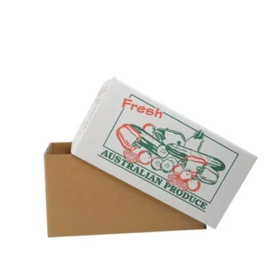 Printed Corrugated Cardboard Fresh Fruit and Vegetable Storage Packaging Box