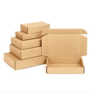 Printed Hard Corrugated Kraft Paper Express Carton Box for Small Packages
