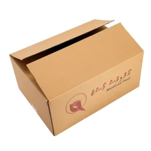 Printed Kraft Corrugated Shipping Carton Box for Postal E-commerce Logistics