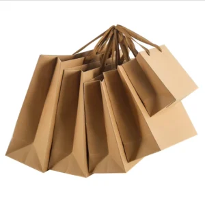 Printed Paper Shopping Gift Bag with Ribbon for Clothing and Gifts
