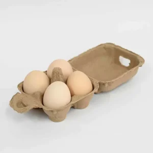 Promotional Mini Egg Carton 2/4 Cells Biodegradable Paper Pulp Tray Small Sample Packaging for Food Trade Shows