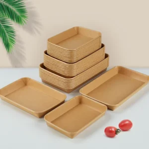 Rectangular Kraft Paper Food Tray with Transparent Plastic Lid, Food Grade