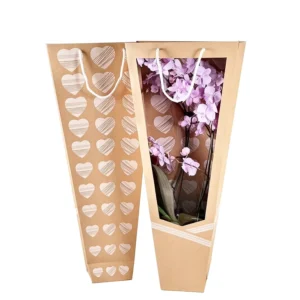 Recyclable Biodegradable Brown Kraft Paper Bag with Handles and Window for Supermarket Use