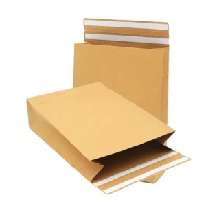 Recyclable Biodegradable Eco-Friendly Kraft Paper Shipping Mailer Bag Envelope for Clothing