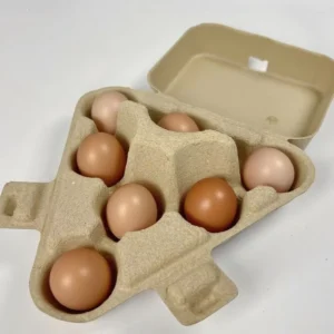 Recyclable Biodegradable Food-Grade Solid-Color Corrugated Paper Egg Carton, 6/10/12/15/30 Cells