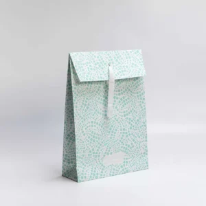 Recyclable Coated Paper Shopping Bag with Ribbon Handles for Organic Product Retail Gift Packaging Reusable and Portable Promotion