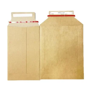 Recyclable Compostable Waxed Kraft Paper File and Mailing Envelopes
