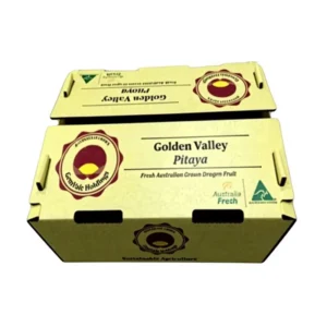 Recyclable Corrugated Paper Pitaya Fruit Carton Box, Stackable Folding, Industrial Use, Customizable, UV Coating