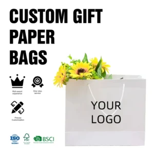 Recyclable Cosmetic Gift Packaging Paper Shopping Bags, Custom