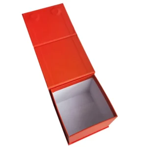 Recyclable Custom Paper Gift Box