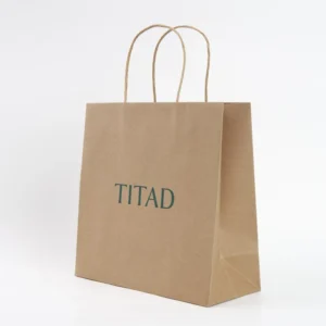 Recyclable Custom Size Colored Rope Festival Party Gift Paper Bag with Logo