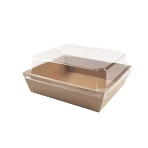 Recyclable Disposable Sandwich and Sushi Packaging Box with Handle Clear Lid Laminated Kraft Paper Tray