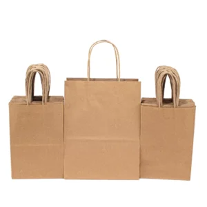 Recyclable Eco friendly Heavy duty Paper Shopping Bags with Lamination String Handles for Sushi & Milk Takeaway