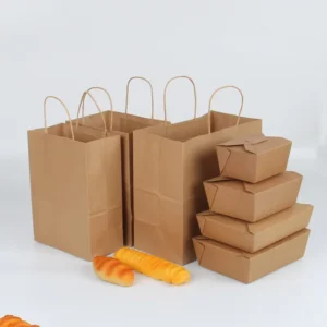 Recyclable Kraft Paper Bags Manufacturer OEM/ODM Service with Twisted Handle