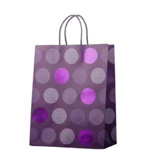 Recyclable Kraft Paper Gift Bag with Flexiloop Handle for Clothing and Shoes, Custom Logo Flexo Printing Packaging
