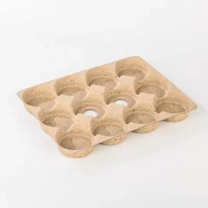 Recyclable Paper-Plastic Composite Custom Printed Pouch