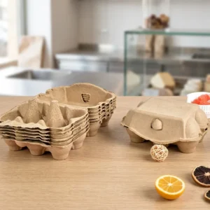 Recyclable Paper Pulp 6 Capacity Molded Fiber Egg Tray Stackable