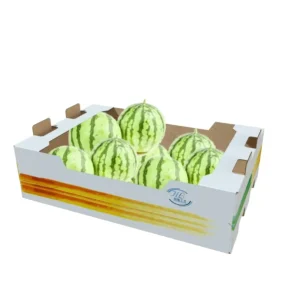 Recyclable Watermelon Carton Tray Fruit Packing Box Biodegradable Soy Ink Kraft Brown Fruit Box