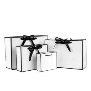 Recyclable Waterproof White Paper Gift Bags with Black Border and Drawstring Handles, Custom Logo