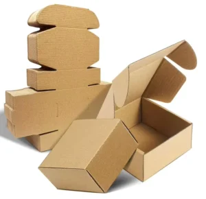 Recycled Corrugated Cardboard Shipping Boxes for Gift Mailing