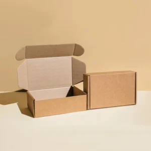 Recycled Kraft Paper Corrugated Packaging Box with Matte Lamination, Airplane Style