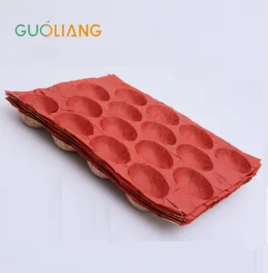 Recycled Kraft Paper Tray for Fruit Packaging