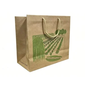 Recycled Vintage Brown Kraft Paper Bags