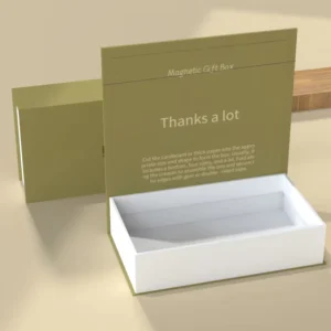 Rigid Cardboard Book-Shaped Paper Gift Box with Magnetic Lid and Closure