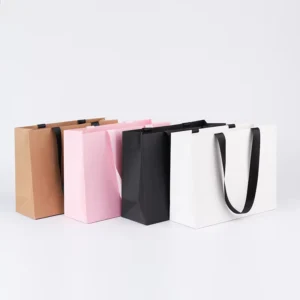 Rope Handle Paper Shopping Gift Bags for Gift Giving