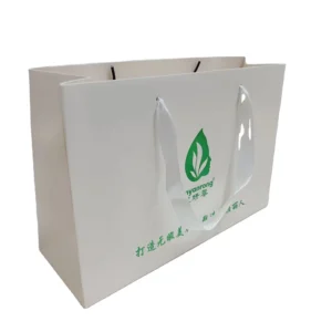 SP953 Custom Paper Shopping Bag with Green Hot-Stamped Logo for Cosmetics and Clothing