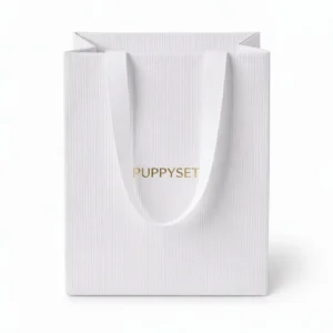 Screen-Printed Art Paper Kraft Handle Bag, Recyclable Retail Packaging for Shoes and Clothing